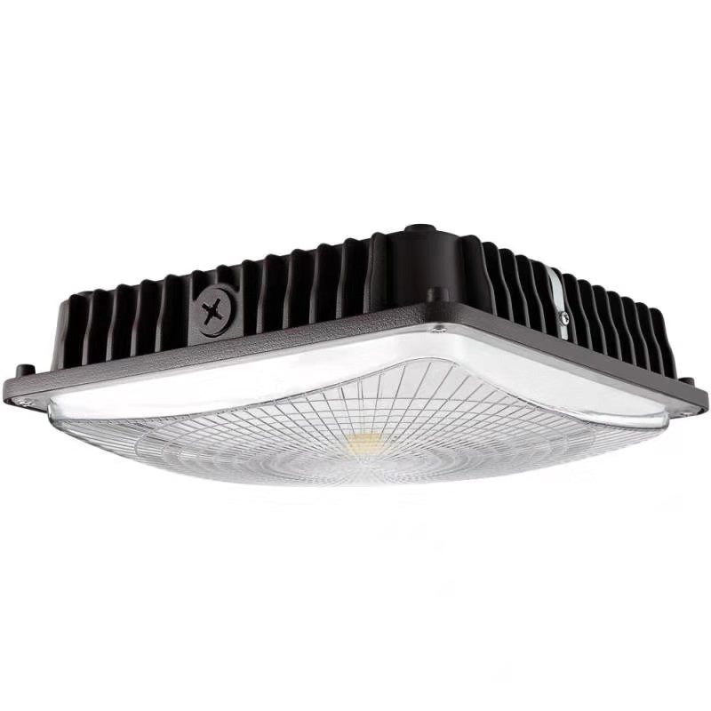 Led canopy light 